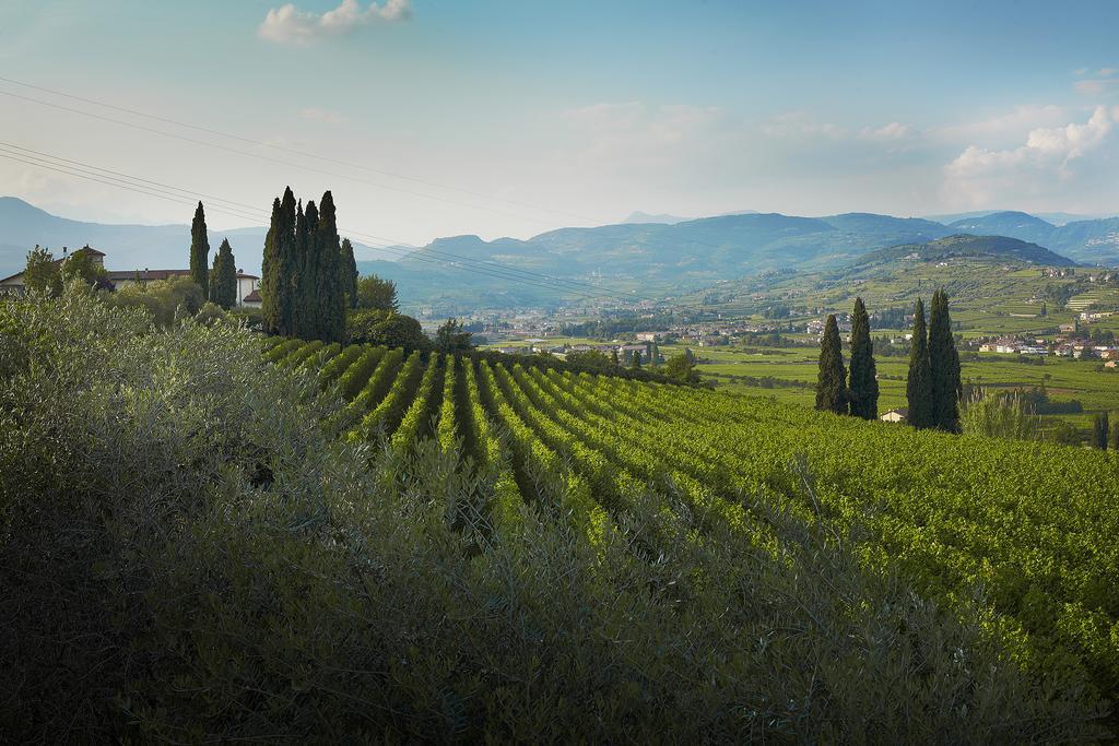 Villa Archi B&B San Pietro in Cariano Kültér fotó